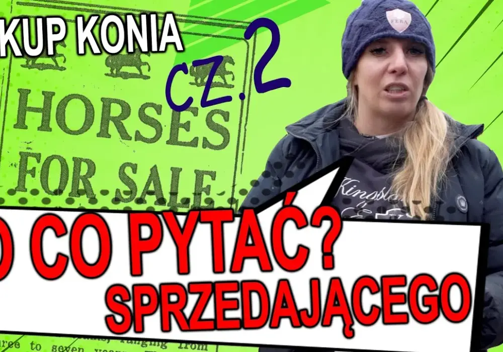 Jak kupić konia bez błędów: kluczowe kroki i porady finansowe