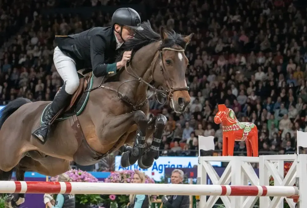 Podlaski związek jeździecki: jak wspiera rozwój sportów konnych