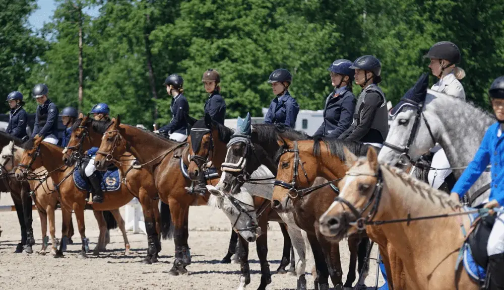 Salio klub jeździecki – odkryj najlepsze usługi jeździeckie w Polsce