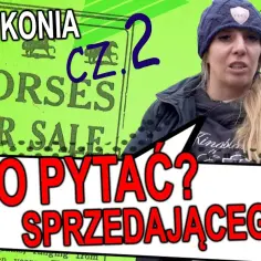 Jak kupić konia bez błędów: kluczowe kroki i porady finansowe