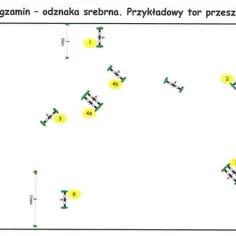 Srebrna odznaka jeździecka skoki – jak uniknąć najczęstszych błędów?