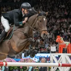 Podlaski związek jeździecki: jak wspiera rozwój sportów konnych
