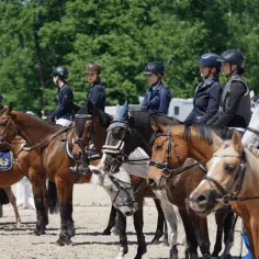 Salio klub jeździecki – odkryj najlepsze usługi jeździeckie w Polsce