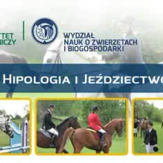 Hipologia i jeździectwo studia – poznaj najlepsze programy edukacyjne