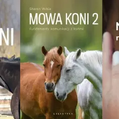 Mózg konia i człowieka: jak neurobiologia zmienia jeździectwo