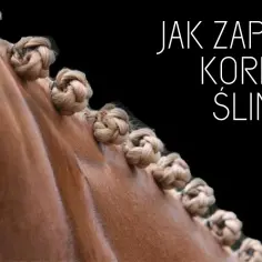 Jak zrobić koreczki u konia - proste kroki, by uniknąć kłopotów z grzywą
