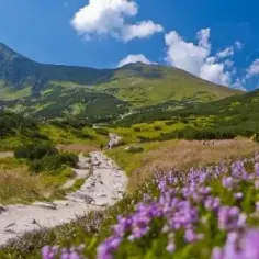 Gdzie jechać w góry w Polsce? Odkryj najlepsze miejsca na wypoczynek