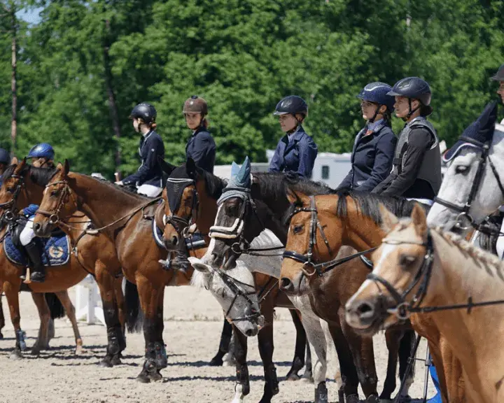 Salio klub jeździecki – odkryj najlepsze usługi jeździeckie w Polsce
