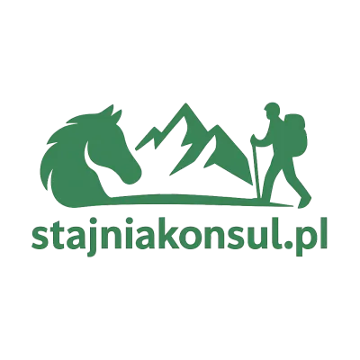 Logo stajniakonsul.pl