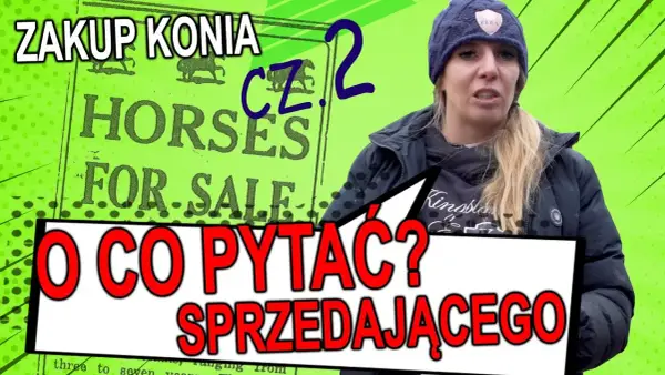 Jak kupić konia bez błędów: kluczowe kroki i porady finansowe